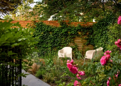 Back garden in Court Lane, Dulwich, 2