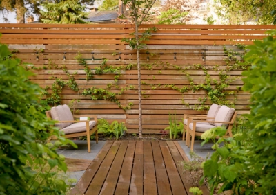 Back garden in Court Lane, Dulwich, 3