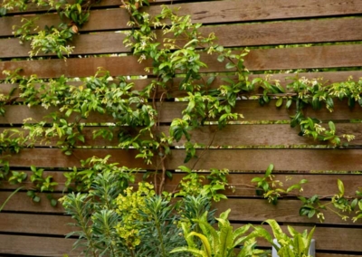 Back garden in Court Lane, Dulwich, 5