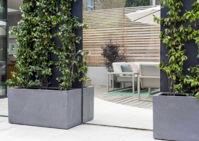 Back garden design in Friern Road, Dulwich, 13 Jasmine in grey planters with adjacent mirrors