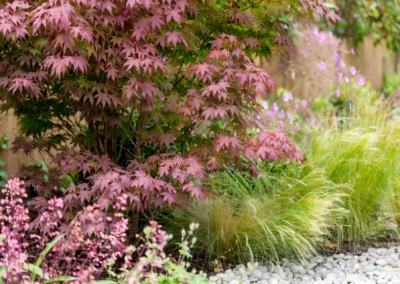 Back garden design in Friern Road, Dulwich, 14 Herbaceous border with grasses and acer