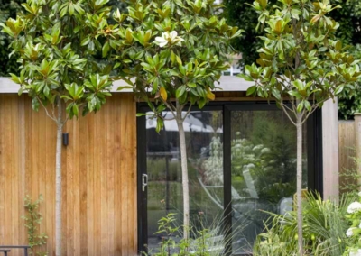 Back garden design in Friern Road, Dulwich, 15 Pebbled area and herbaceous border with magnolia trees behind