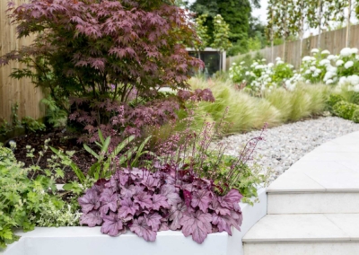Garden design in Friern Road, Dulwich, 3 Raised bed and steps bordering dining area