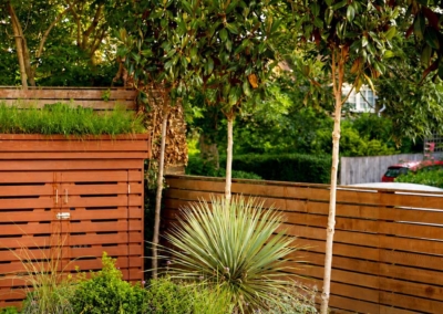 Front garden design in Court Lane, Dulwich, 5