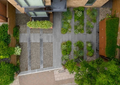 Front garden in Court Lane, Dulwich, 6
