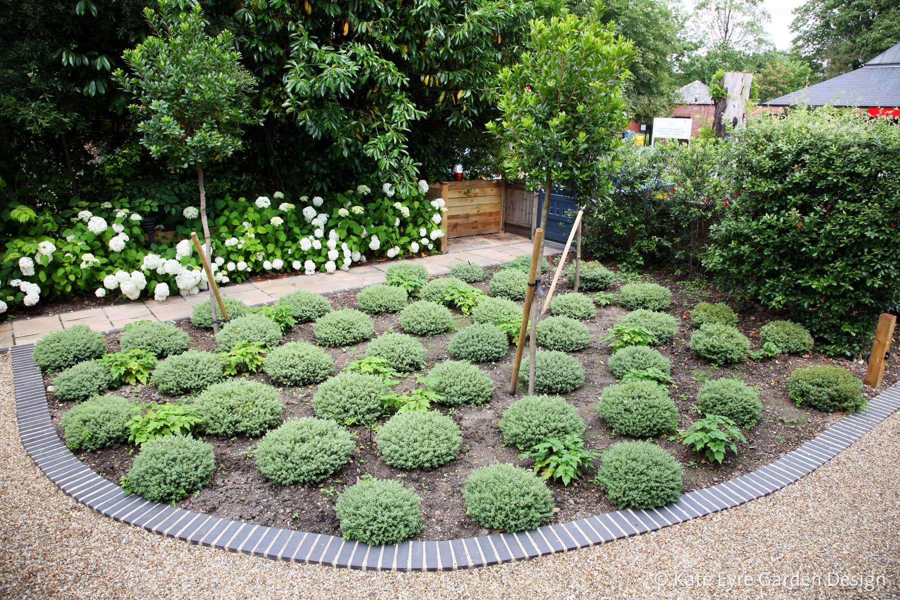 Front garden design in Dulwich Village, 5
