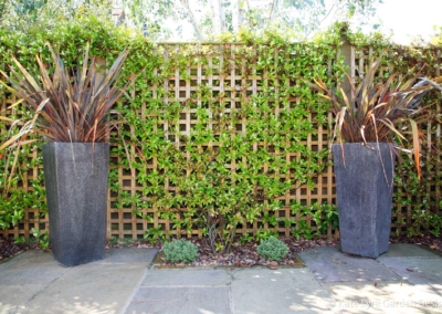 Back garden design in Dulwich Village, 9
