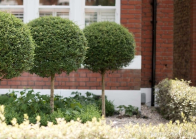Front garden design, Woodwarde Road, London, 1