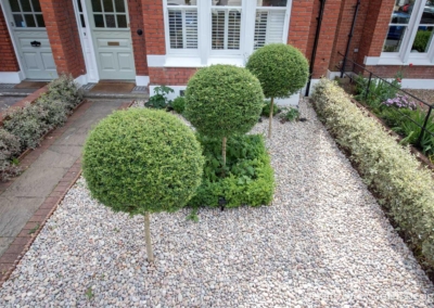 Front garden design, Woodwarde Road, London, 4