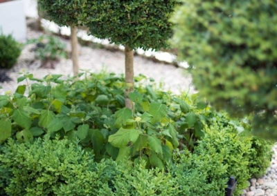 Front garden design, Woodwarde Road, London, 6