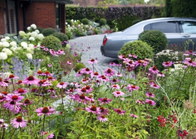 Wrap-around garden design in Allison Grove, Dulwich, 8
