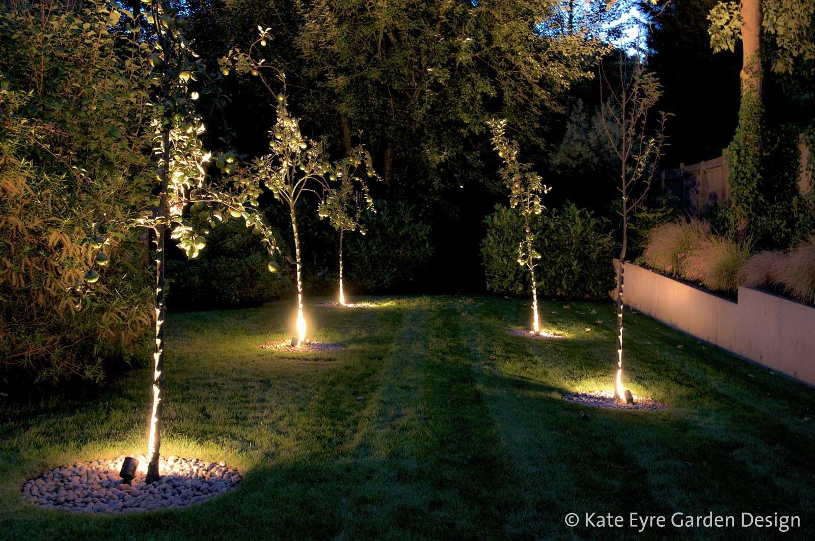 Large back garden design in Crystal Palace, South London, 11: evening view