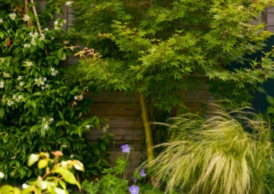 Back garden design, Stroud Road, Wimbledon, 12 Back garden design, Stroud Road, Wimbledon, 12