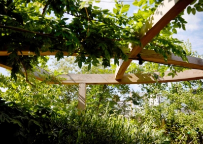Back garden design in Frankfurt Road, 6 Wood pergola with climbing wisteria
